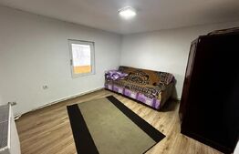 Casa parter+etaj si 5000 mp teren, zona Balesti