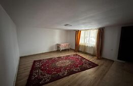 Casa parter+etaj si 5000 mp teren, zona Balesti