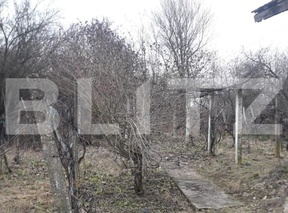 Casa de vânzare 4 camere Exterior Est - 141094CV | BLITZ Târgu Jiu | Poza6