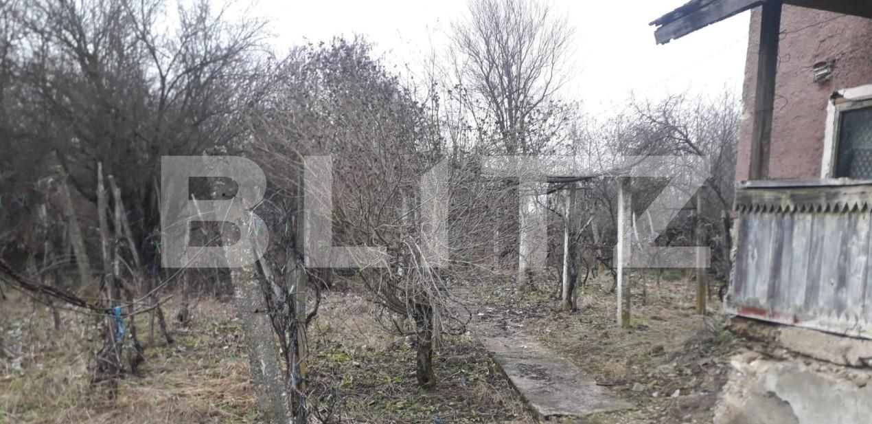 Casa de vânzare 4 camere Exterior Est - 141094CV | BLITZ Târgu Jiu | Poza6