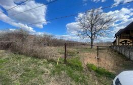 Teren intravilan de 2623 mp, in comuna Balesti 
