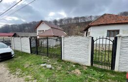 Casa de vanzare in zona turisitica Suseni, Runcu