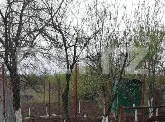 Casa de vânzare 5 camere Vest - 141209CV | BLITZ Târgu Jiu | Poza8