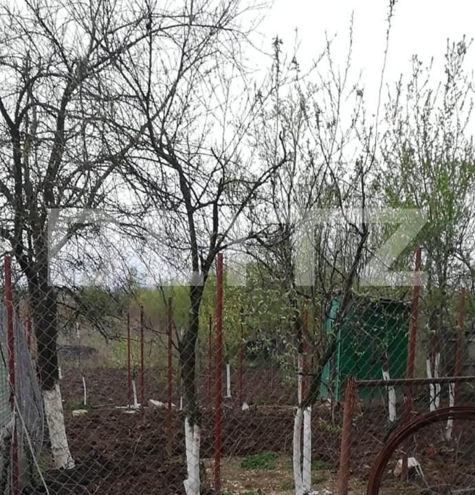 Casa de vânzare 5 camere Vest - 141209CV | BLITZ Târgu Jiu | Poza8