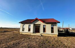 Casa pe parter si teren 450 mp , zona Balesti