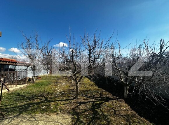 Casa de vânzare 5 camere Exterior Vest - 141683CV | BLITZ Târgu Jiu | Poza3