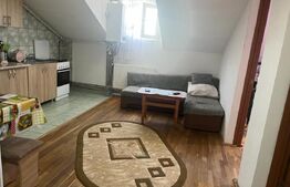 Apartament 2 camere, 43mp, zona Artego