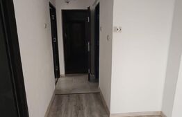 Apartament 2 camere, 40mp, zona Plopilor
