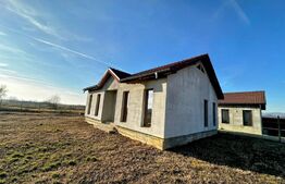 Casa pe parter si teren 900 mp , zona Balesti