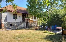 Casa plan parter si 6000 mp teren, zona Sambotin