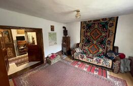 Casa plan parter si 6000 mp teren, zona Sambotin