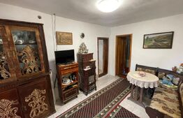 Casa plan parter si 6000 mp teren, zona Sambotin