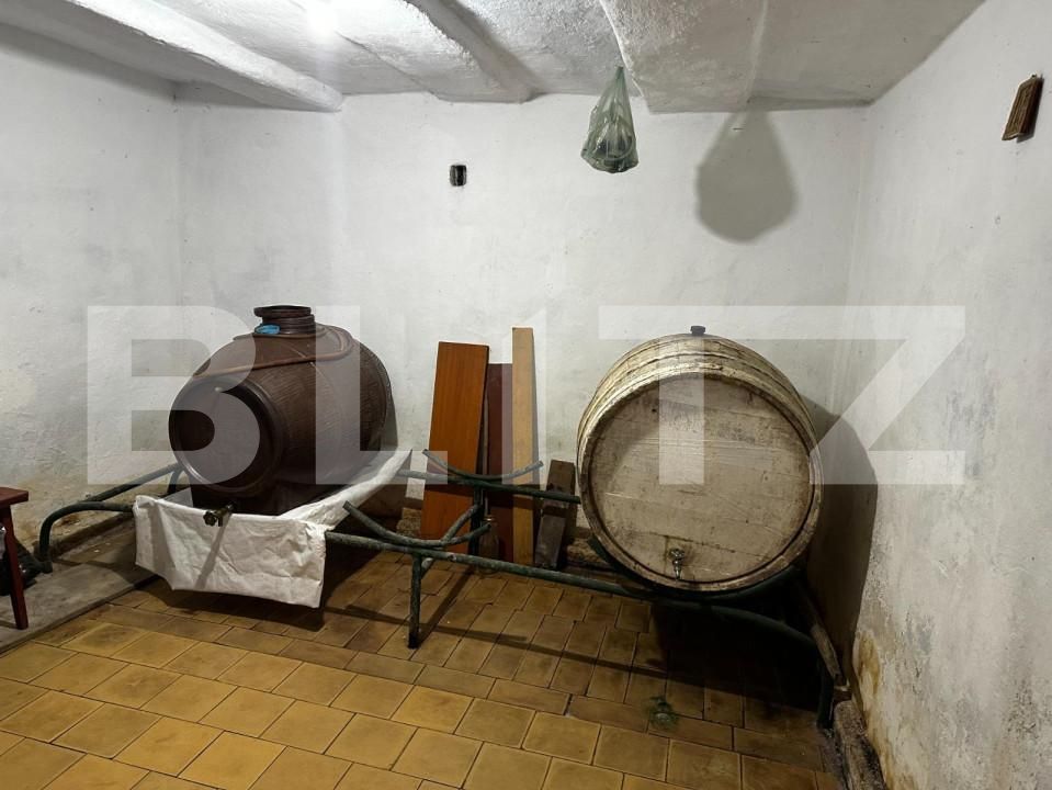 Casa de vânzare 4 camere Exterior Nord - 143894CV | BLITZ Târgu Jiu | Poza9