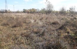 Teren 7240mp, zona Prelungirea Panduri