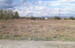 Teren 7240mp, zona Prelungirea Panduri