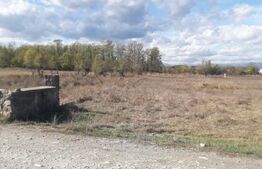 Teren 7240mp, zona Prelungirea Panduri