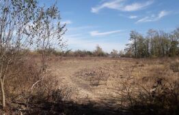 Teren 7240mp, zona Prelungirea Panduri