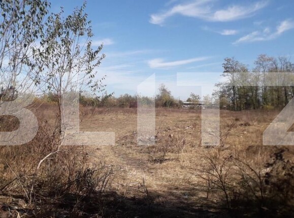 Teren de vânzare Exterior Sud - 143895TV | BLITZ Târgu Jiu | Poza2