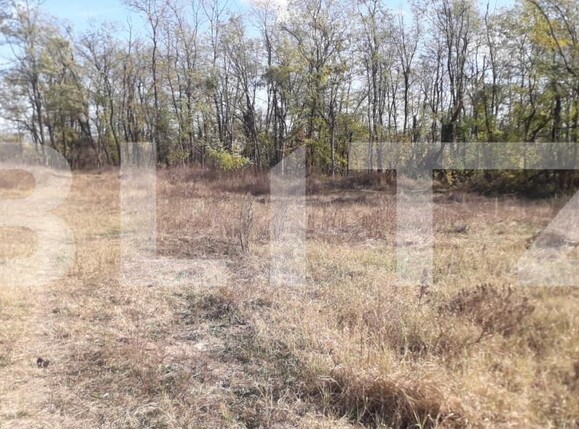 Teren de vânzare Exterior Sud - 143895TV | BLITZ Târgu Jiu | Poza5