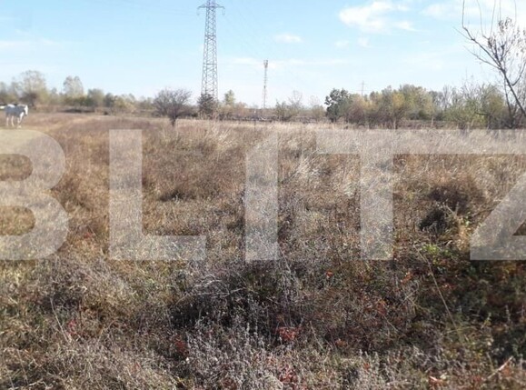 Teren de vânzare Exterior Sud - 143895TV | BLITZ Târgu Jiu | Poza6