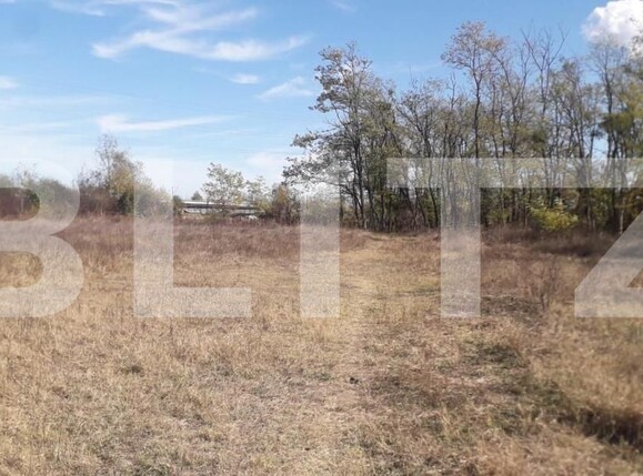 Teren de vânzare Exterior Sud - 143895TV | BLITZ Târgu Jiu | Poza4