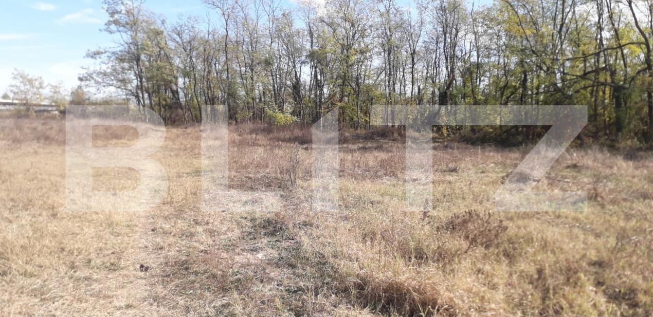 Teren de vânzare Exterior Sud - 143895TV | BLITZ Târgu Jiu | Poza5