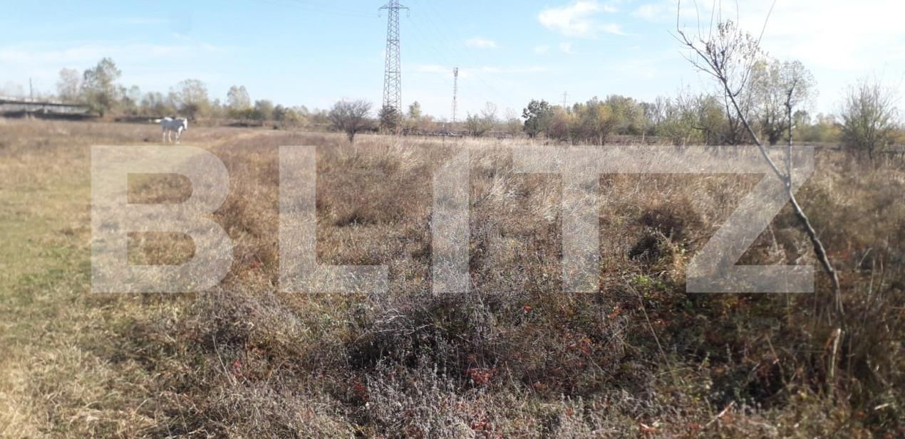 Teren de vânzare Exterior Sud - 143895TV | BLITZ Târgu Jiu | Poza6