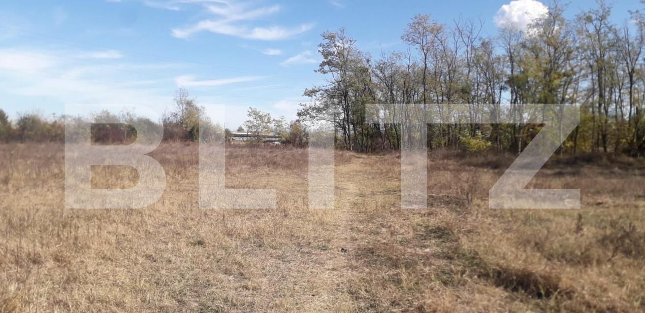 Teren de vânzare Exterior Sud - 143895TV | BLITZ Târgu Jiu | Poza4