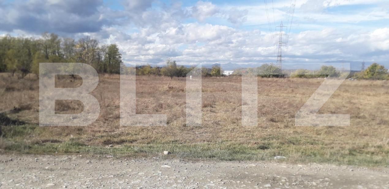Teren de vânzare Exterior Sud - 143895TV | BLITZ Târgu Jiu | Poza8