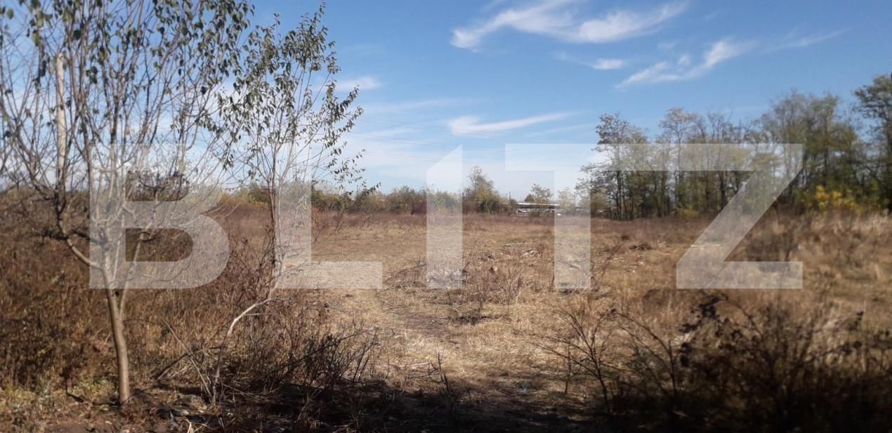 Teren de vânzare Exterior Sud - 143895TV | BLITZ Târgu Jiu | Poza2