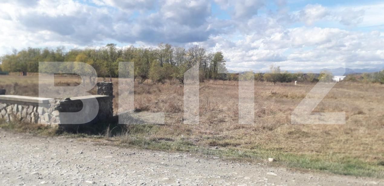 Teren de vânzare Exterior Sud - 143895TV | BLITZ Târgu Jiu | Poza1