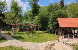 Pensiune turistica Polovragi