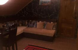 Pensiune turistica Polovragi