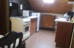 Pensiune turistica Polovragi