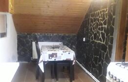 Pensiune turistica Polovragi