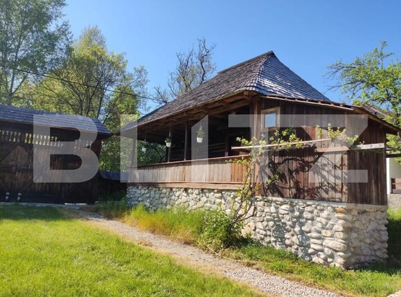 Casa de vânzare 5 camere Exterior Est - 144161CV | BLITZ Târgu Jiu | Poza11