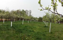 Casa si Teren in comuna Scoarta