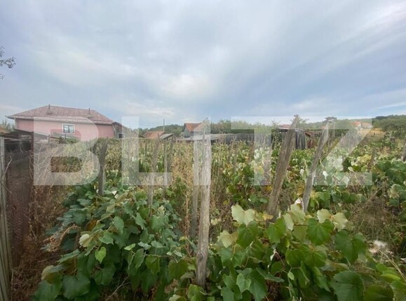 Casa de vânzare 5 camere Exterior Sud - 144440CV | BLITZ Târgu Jiu | Poza14