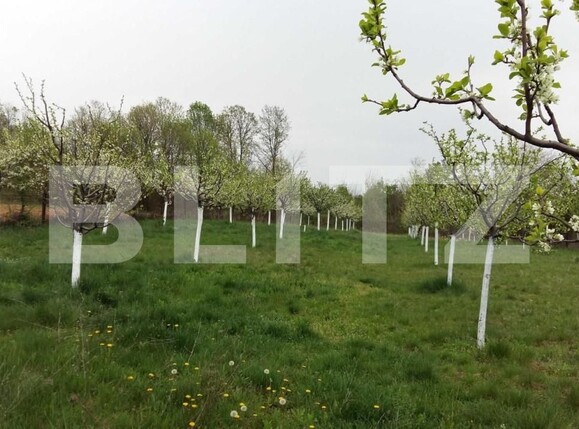 Casa de vânzare 5 camere Exterior Sud - 144440CV | BLITZ Târgu Jiu | Poza13