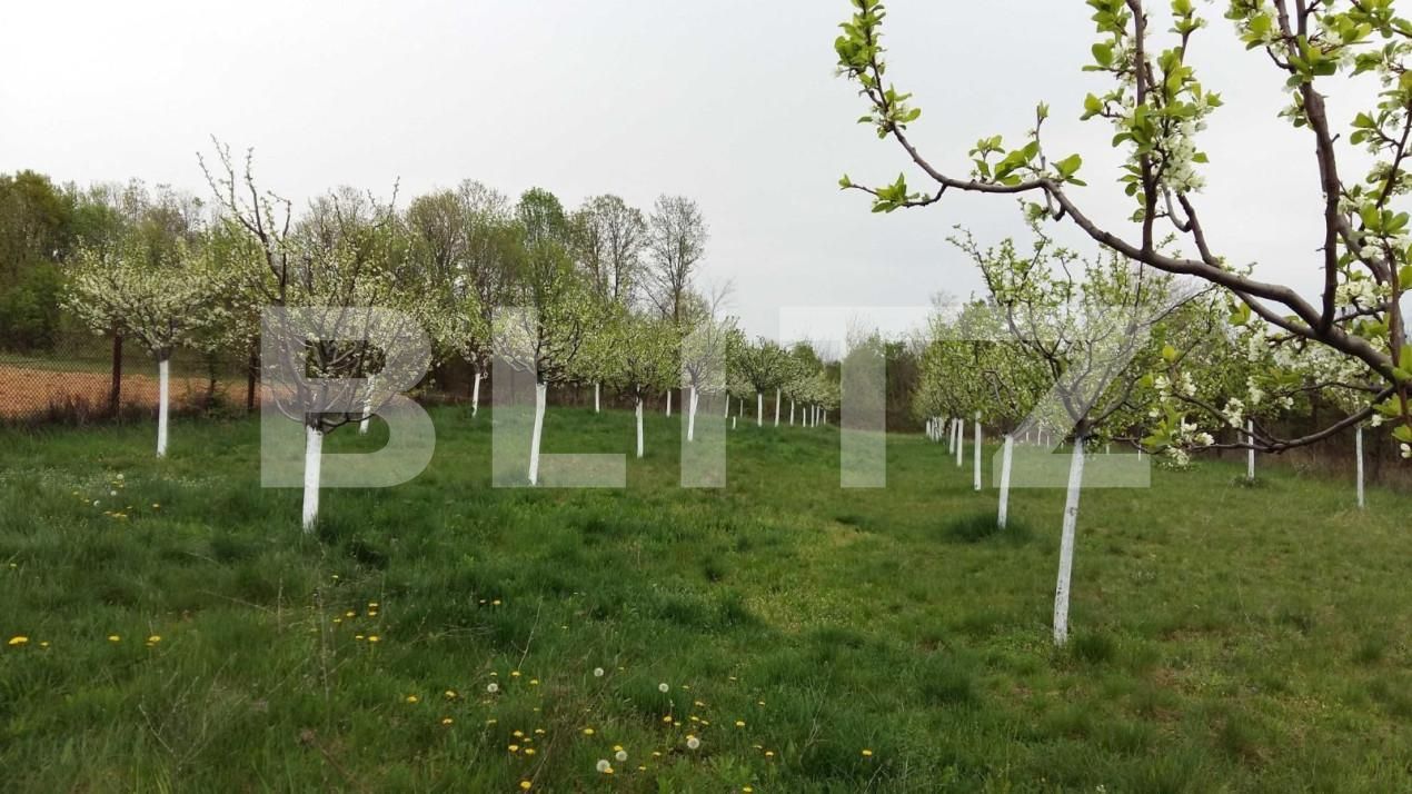 Casa de vânzare 5 camere Exterior Sud - 144440CV | BLITZ Târgu Jiu | Poza13