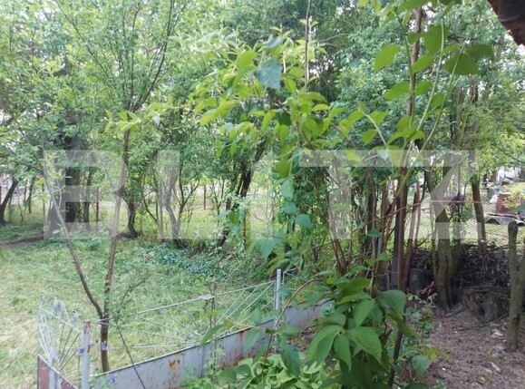 Casa de vânzare 2 camere Exterior Vest - 144451CV | BLITZ Târgu Jiu | Poza6