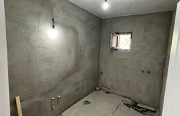 Casa plan parter si mansarda, 220 mp utili, Iezureni