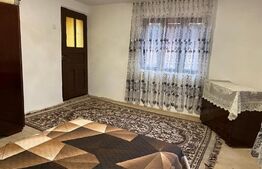 Casa plan parter si teren, 90mp, zona Runcu