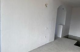 Casa 10 camere, 395mp, com Arcani, Gorj