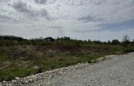 Teren 2228 mp intravilan, zona targul de legume