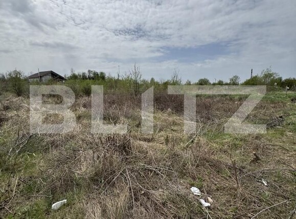 Teren de vânzare Narciselor - 146676TV | BLITZ Târgu Jiu | Poza3