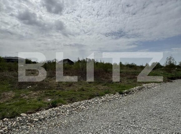 Teren de vânzare Narciselor - 146676TV | BLITZ Târgu Jiu | Poza1