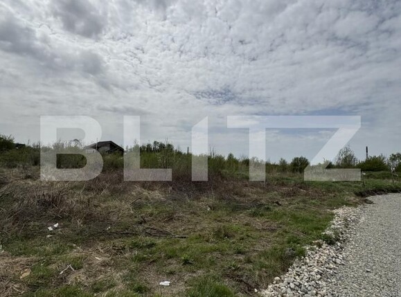 Teren de vânzare Narciselor - 146676TV | BLITZ Târgu Jiu | Poza2