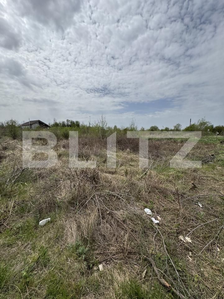 Teren de vânzare Narciselor - 146676TV | BLITZ Târgu Jiu | Poza3