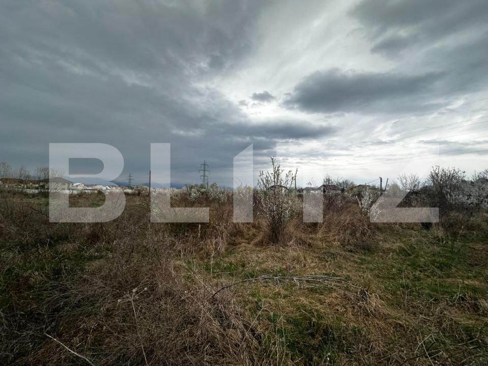 Teren de vânzare Narciselor - 146676TV | BLITZ Târgu Jiu | Poza4